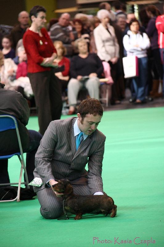 Crufts2011_2 1216.jpg